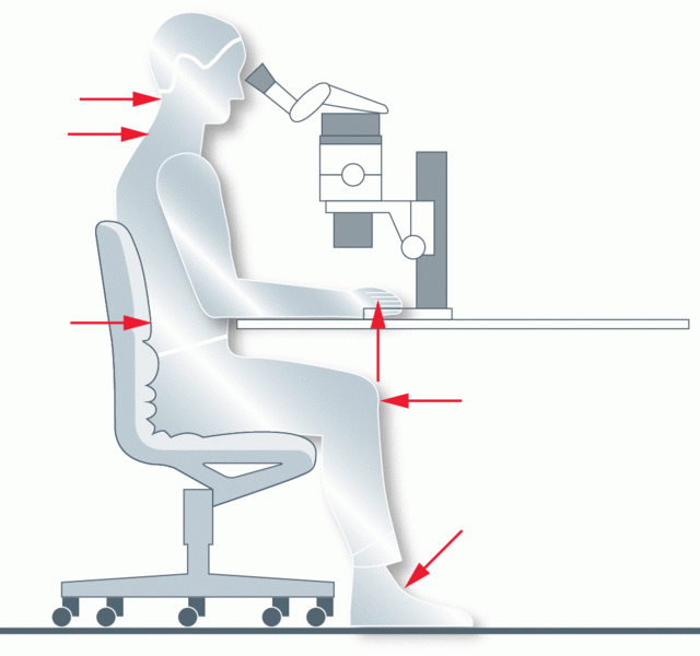 Ergonomics Diagram 1