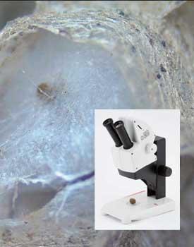 Leica EZ4W Dissection Microscope