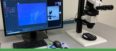 Microscope Online Learning